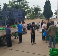 南長山街道為漁村居民發放分類垃圾桶